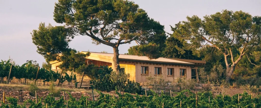 huevos ecologicos granja